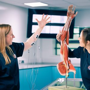 Where anatomy meets technology