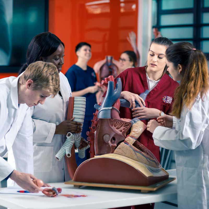Medicine students in an anatomy session with Rebecca Quinn