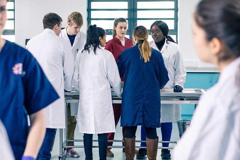 Students in the anatomy lab inspecting prosections