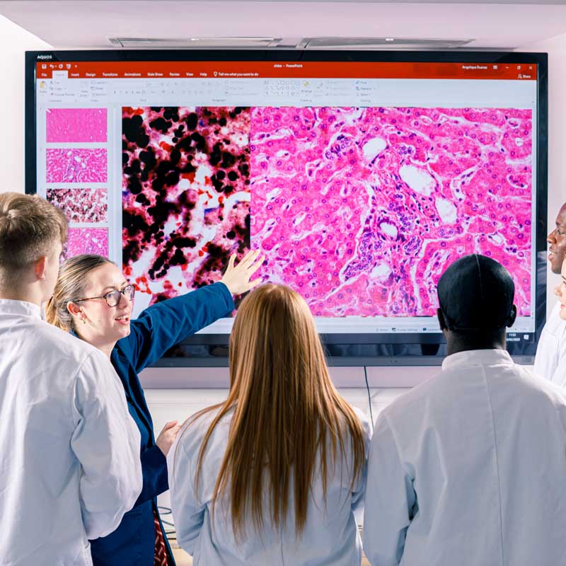 Medicine with a Gateway Year students in a histology workshop