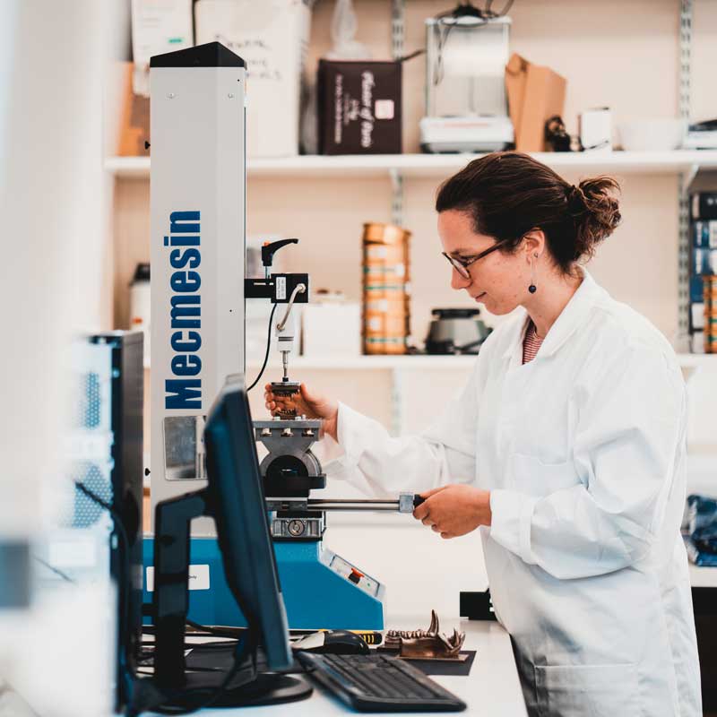 MSc in Human Anatomy and Evolution