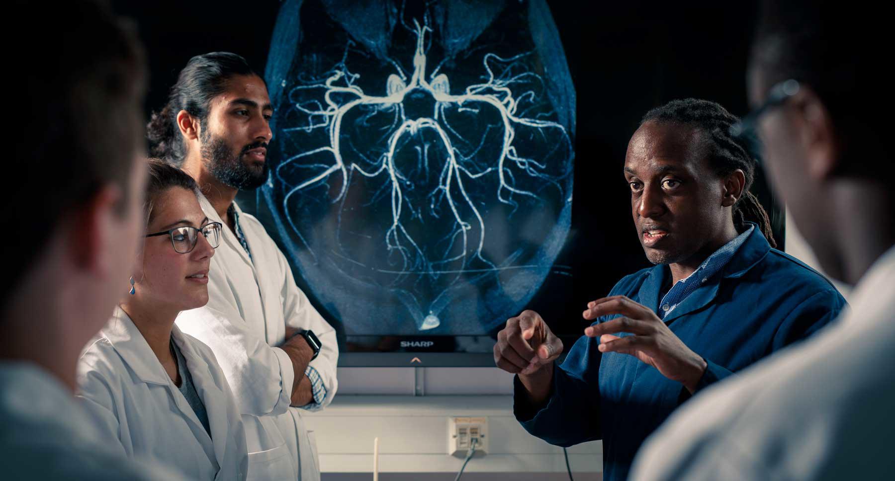 MSc in Clinical Anatomy