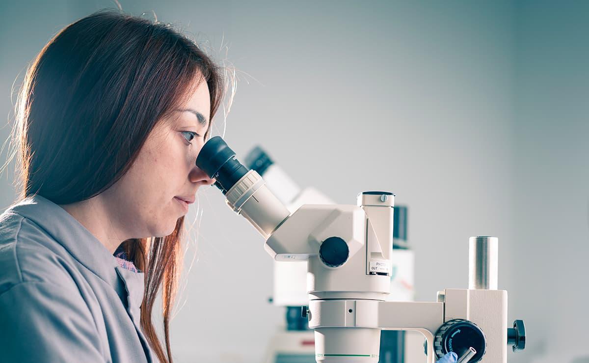 MSc in Pharmacology and Drug Development