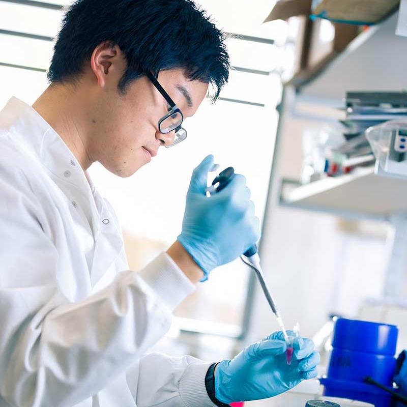 Student in the lab in Experimental Medicine and Biomedicine