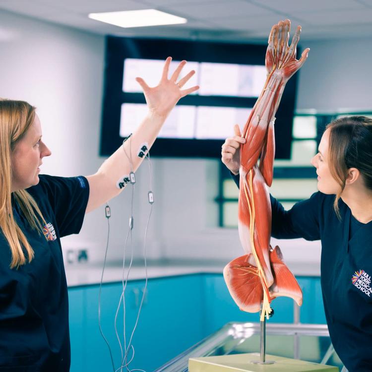 Health Technology and Human Anatomy students