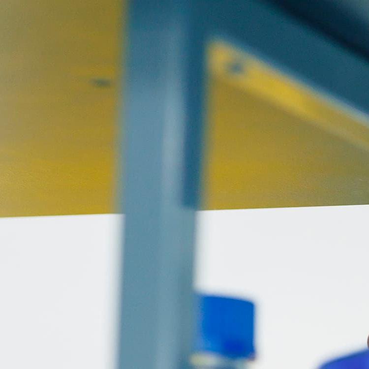 Pharmacology and Drug Development