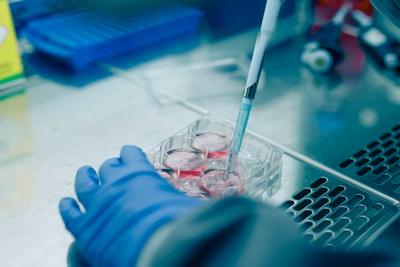 Pipetting in a flume cupboard