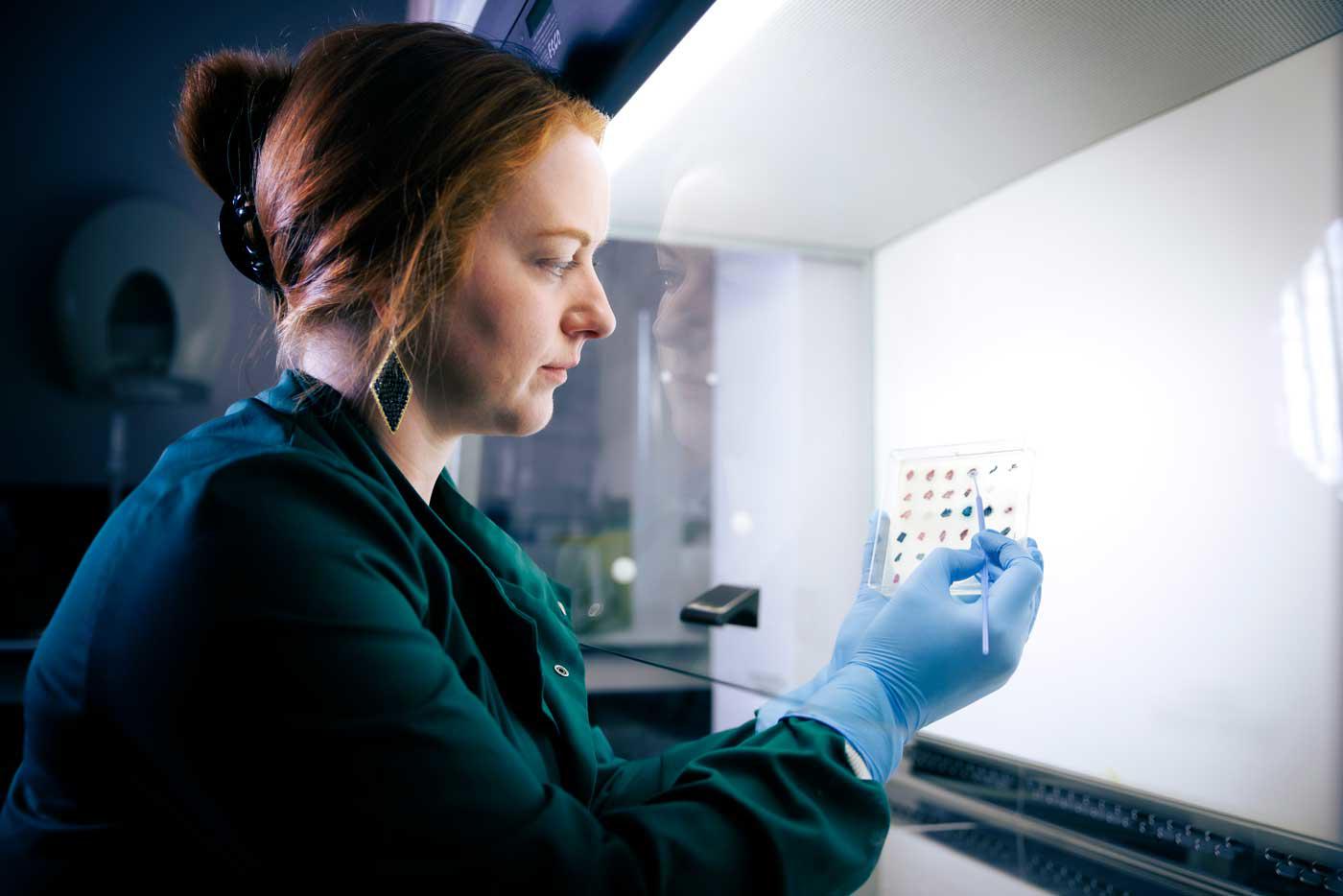 Microbiology in the skin laboratory in the Daisy Building