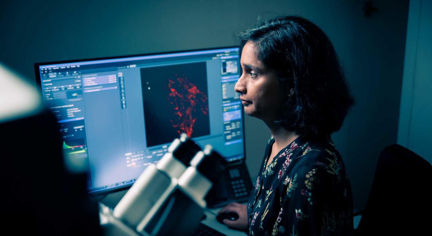 Lab researcher working in a lab in Experimental Medicine and Biomedicine