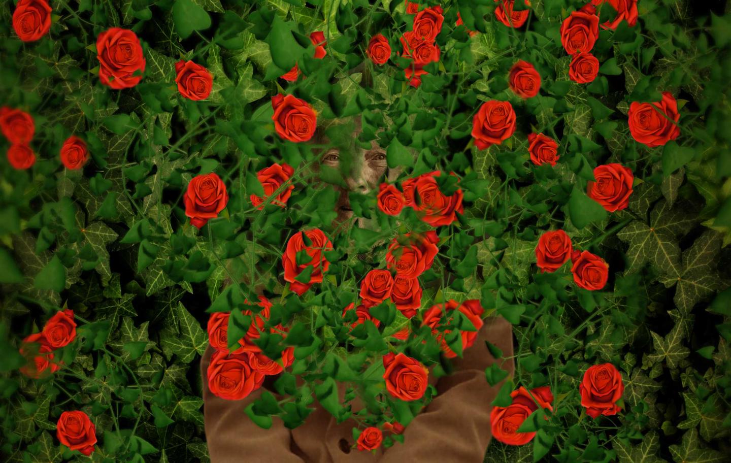 Artwork from the Bringing Breathlessness into View Exhibition: Hidden in the Roses