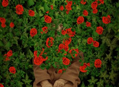 Artwork from the Bringing Breathlessness into View Exhibition: Hidden in the Roses
