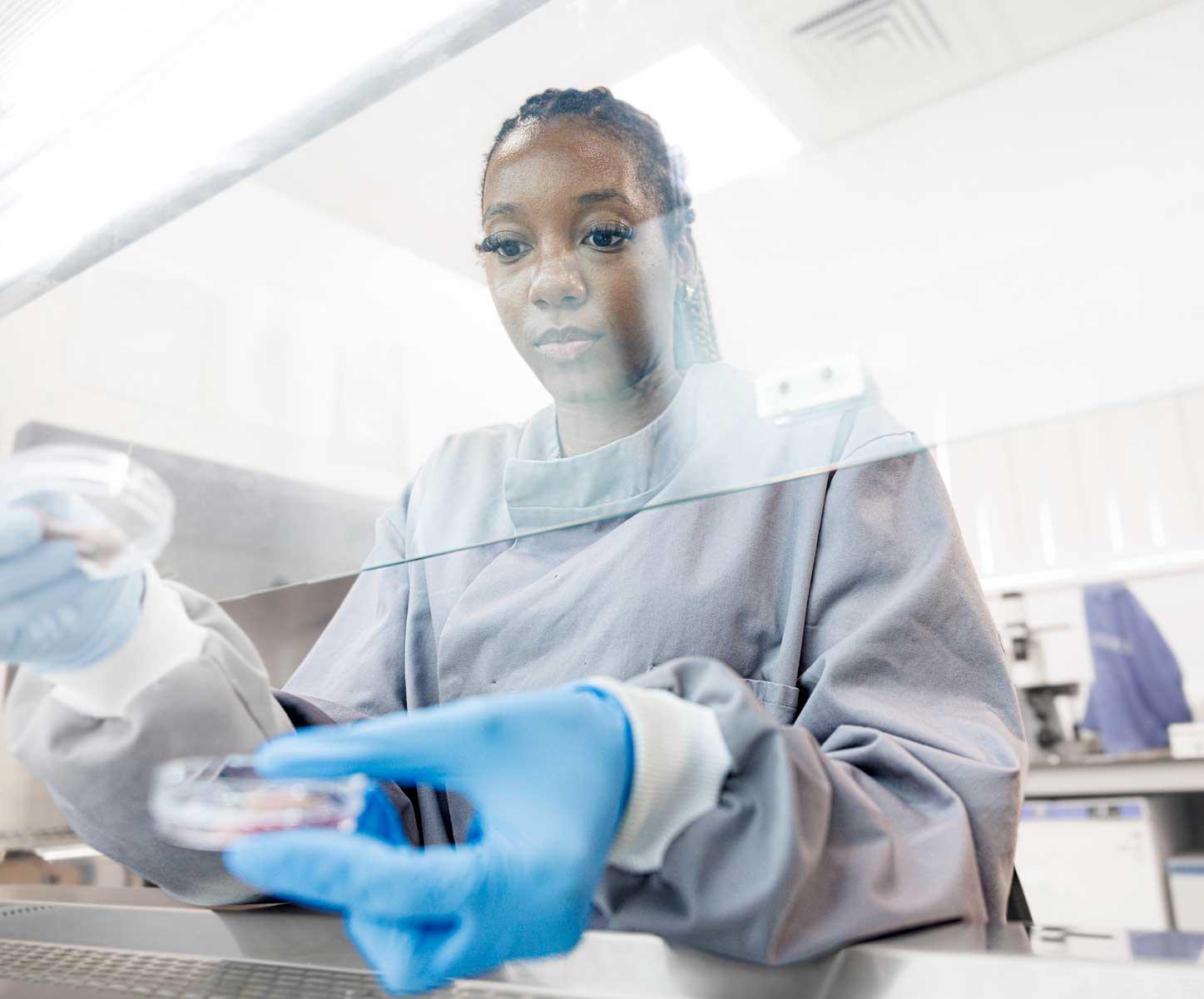 Examining skin samples in the laboratory in the Daisy Building, Castle Hill Hospital